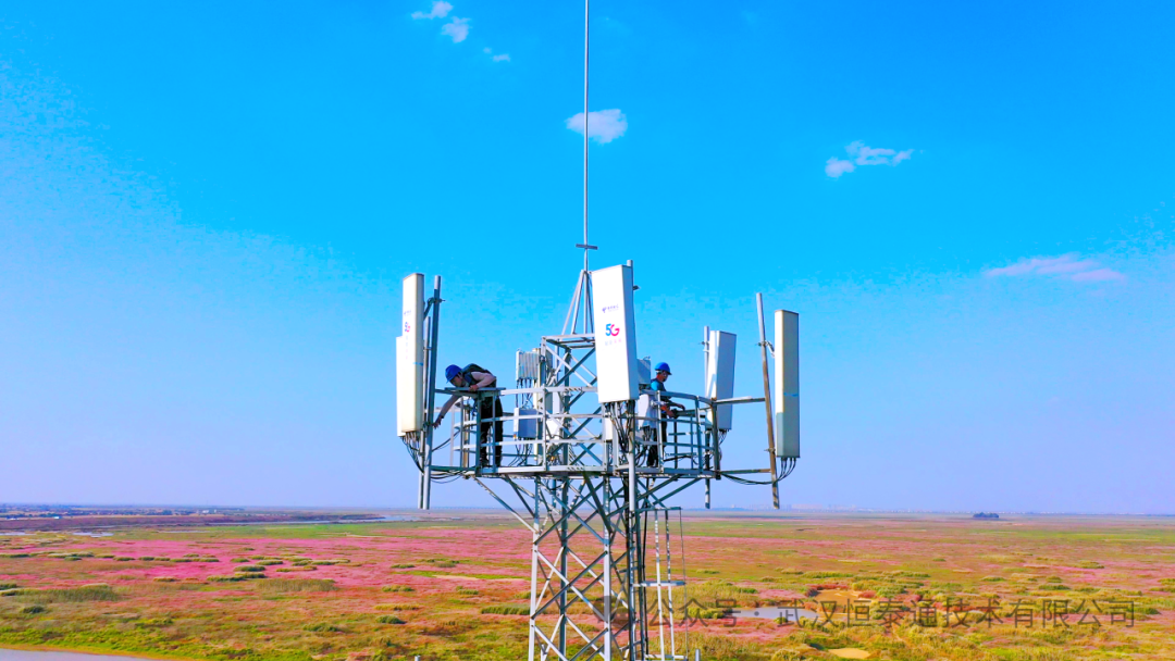 1740567496119241.png 1740567496119241.png