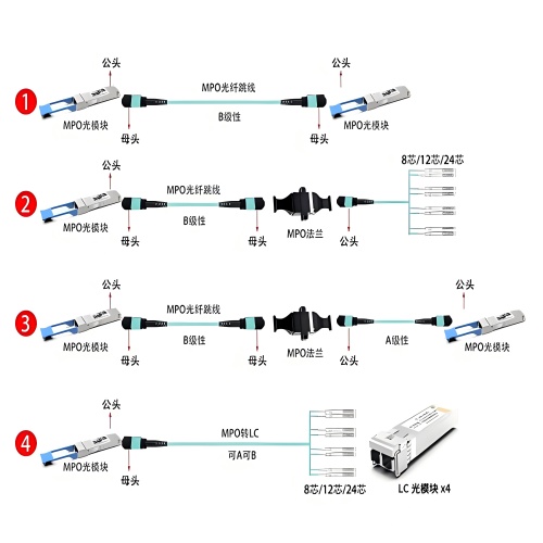 1756281714919369.jpg 公頭母頭(1).jpg